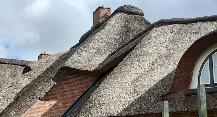 Schilfdächer vom Feinsten